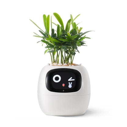 Ivy AI Smart Planter | GrowWithIvyAi