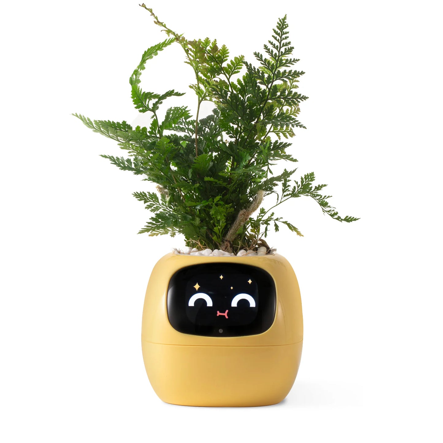 Ivy AI Smart Planter | GrowWithIvyAi