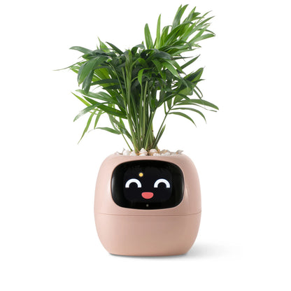 Ivy AI Smart Planter | GrowWithIvyAi